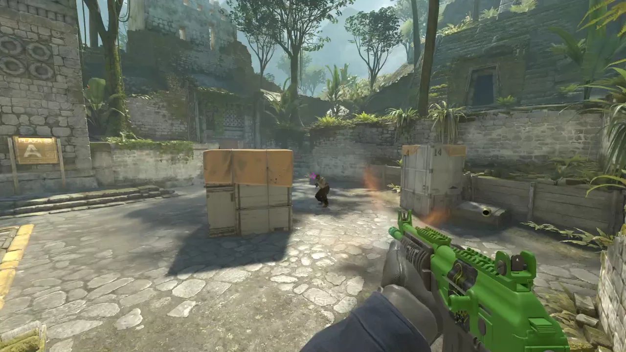 highlight